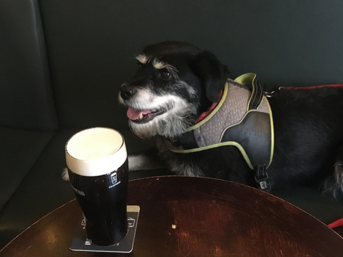 Grey Horse, Manchester-曼彻斯特必去景点