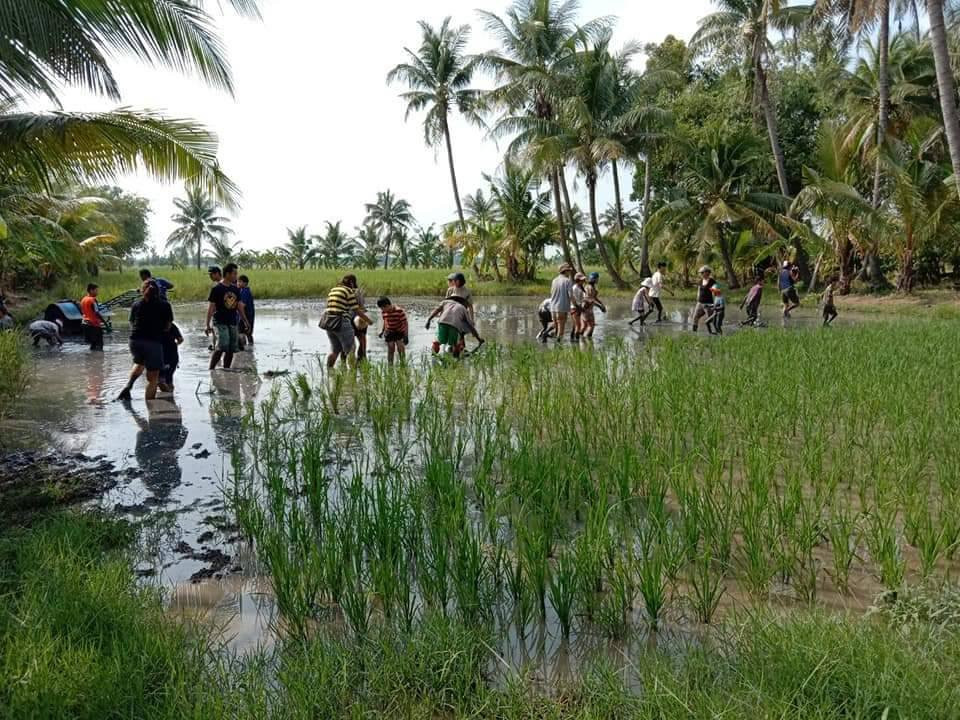 Kar Thoxng Theiyw Cheing Kaset Ban Krathong-挽西必去景点