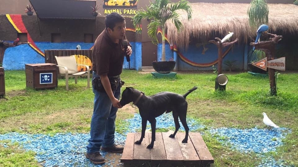 Bel Air Collection Resort & Spa Riviera Maya主图