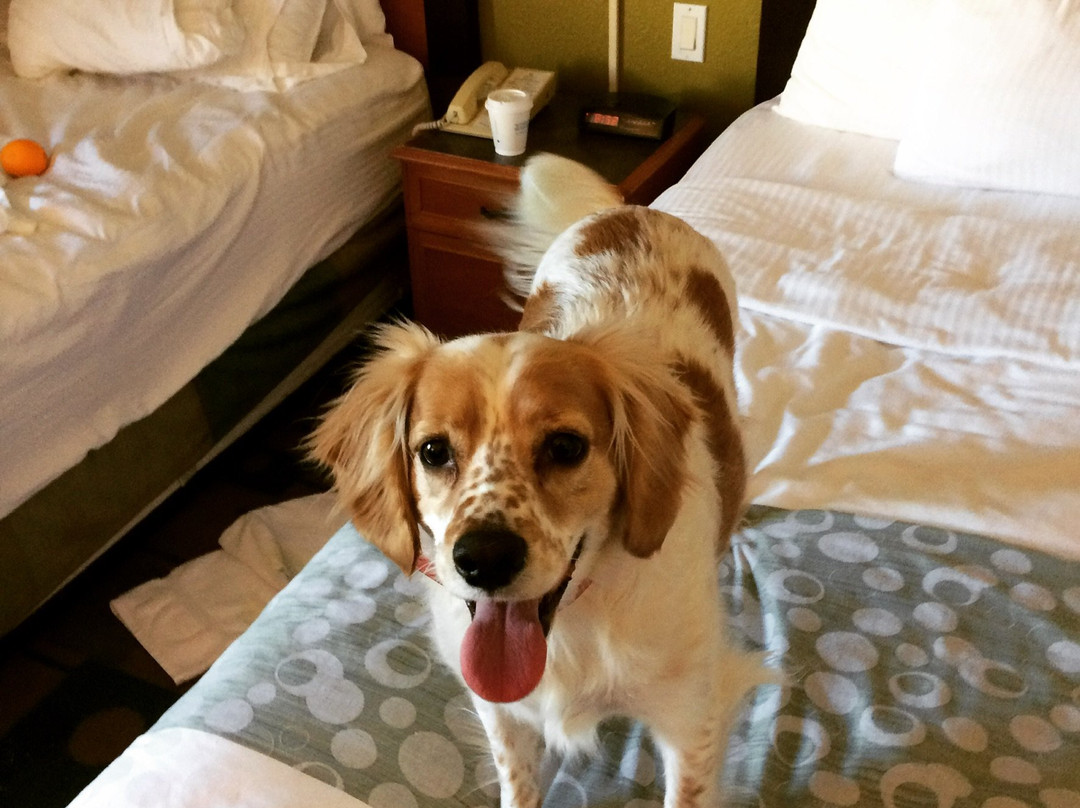 Santos Trailhead & Campground-奥卡拉必去景点