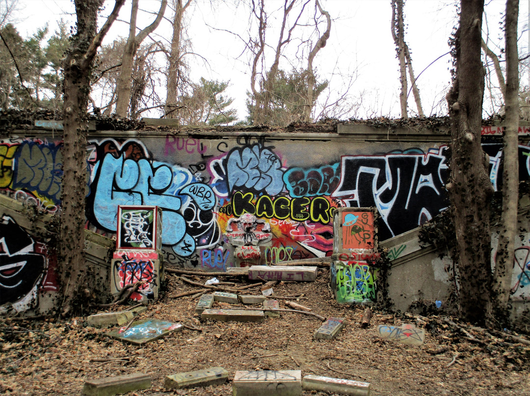Muttontown Preserve景点图片