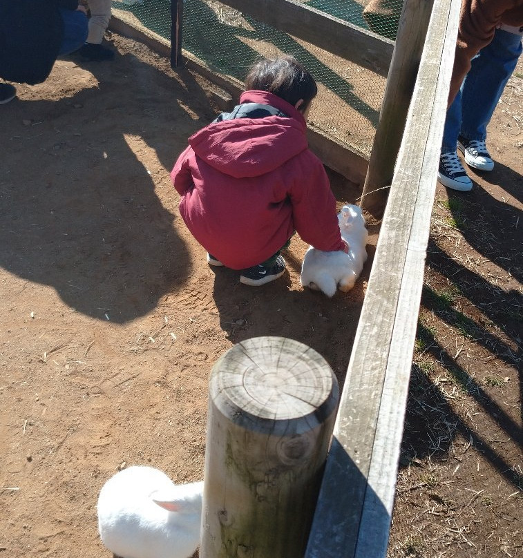 Narita Yume Farm-成田市必去景点