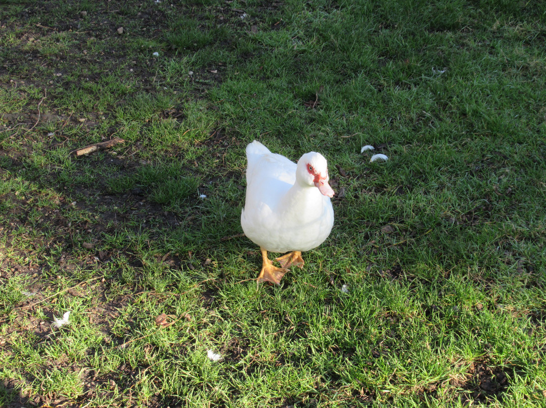 Parc de la Mairie-Livry-Gargan必去景点