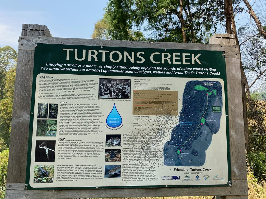 Turton Creek reserve景点图片