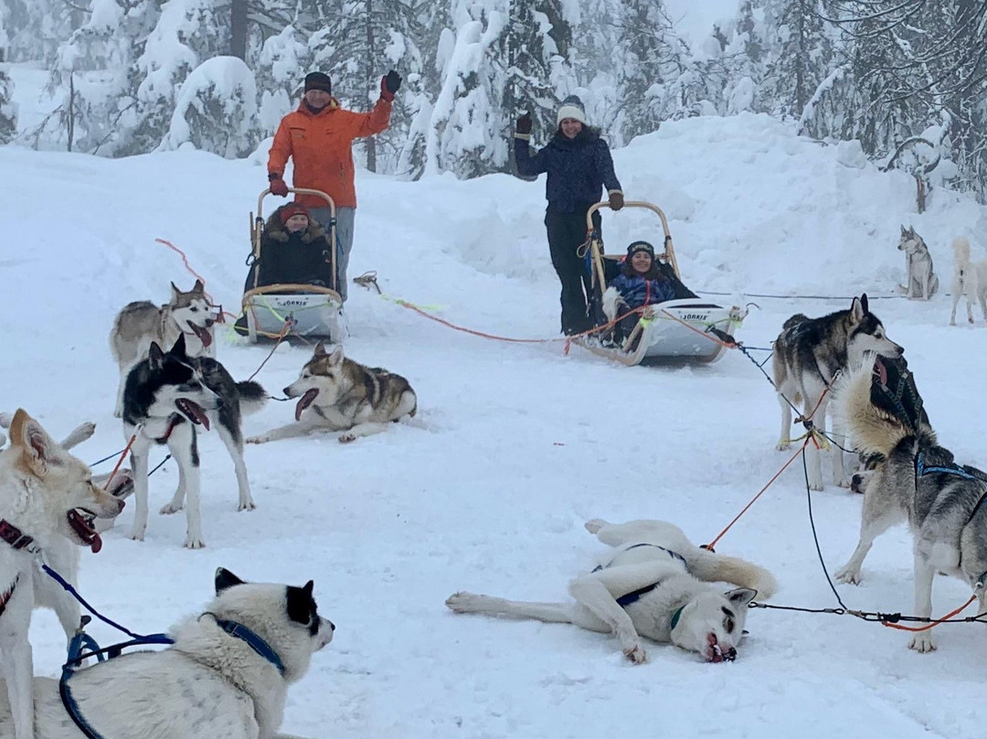 Hedmarksvidda Husky Tours-Brumunddal必去景点