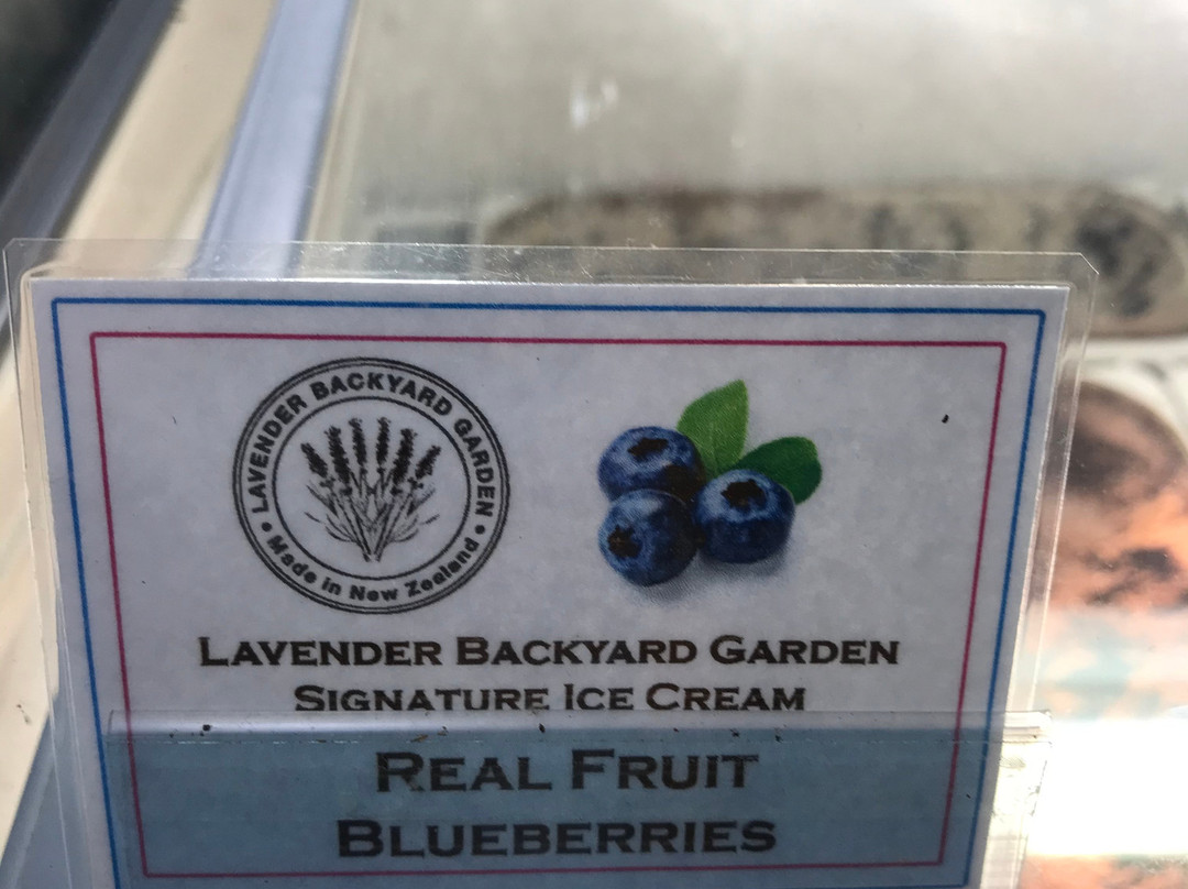 Lavender Backyard Garden-汉密尔顿必去景点