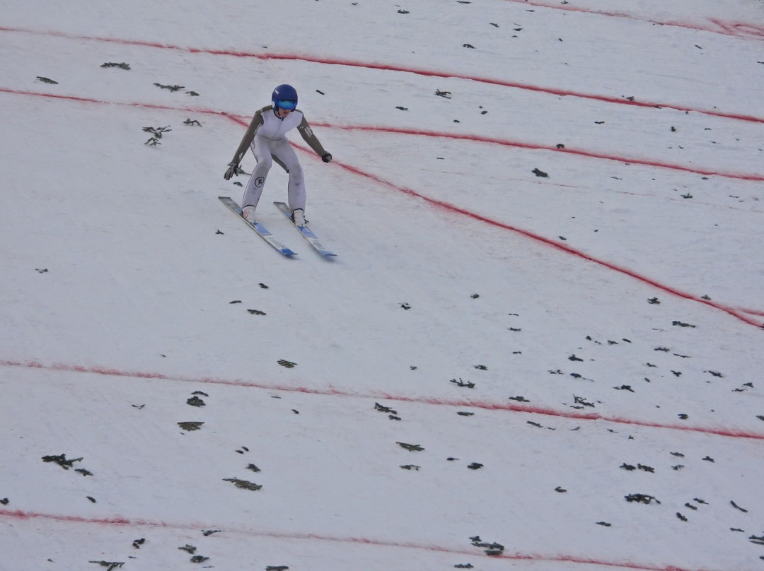Snowflake Ski Club景点图片