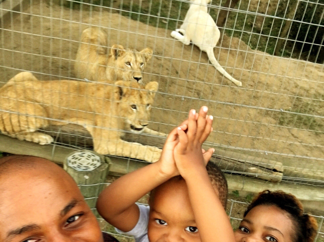 Natal Zoological Gardens景点图片