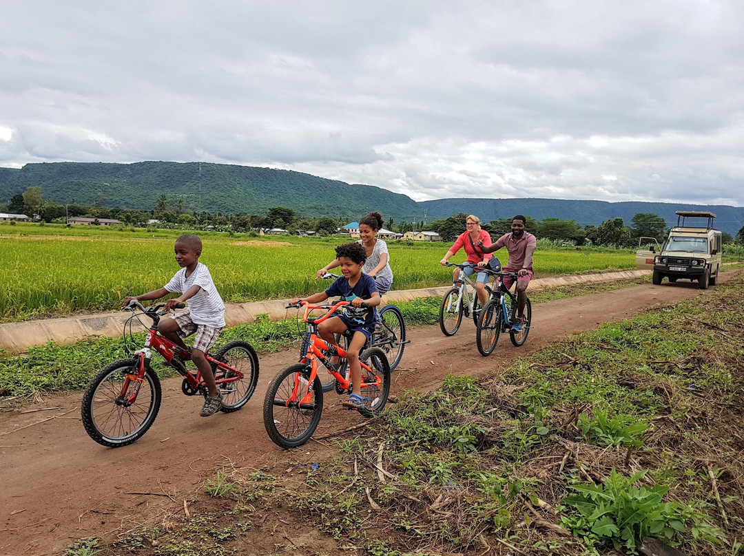 Tanzanian Velo Adventures (TVA)-莫西必去景点