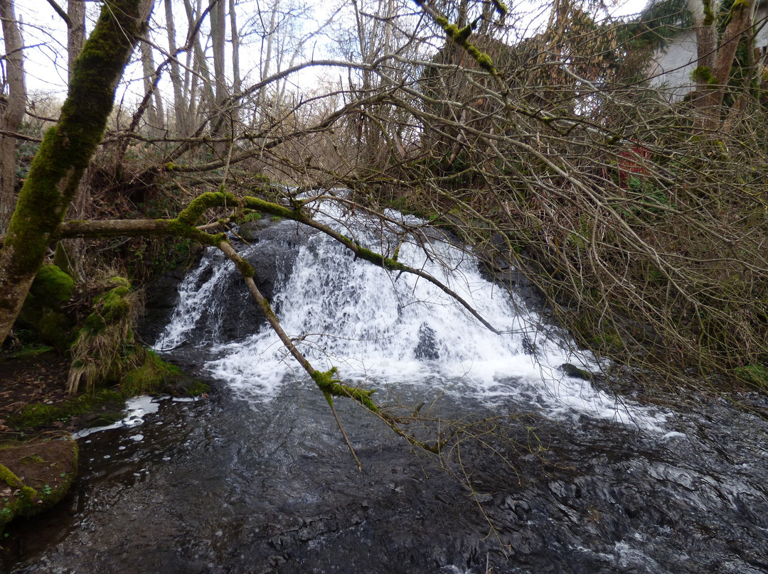 Cascade des Saliens景点图片