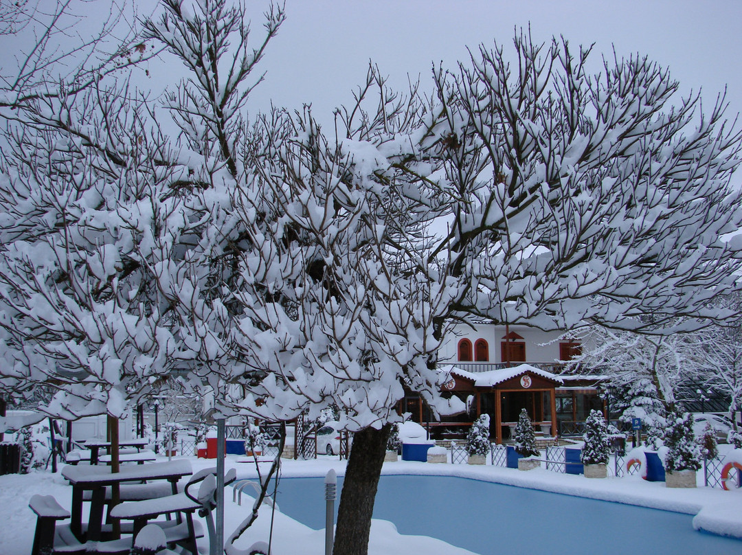 Krikonis Hotel Ioannina主图