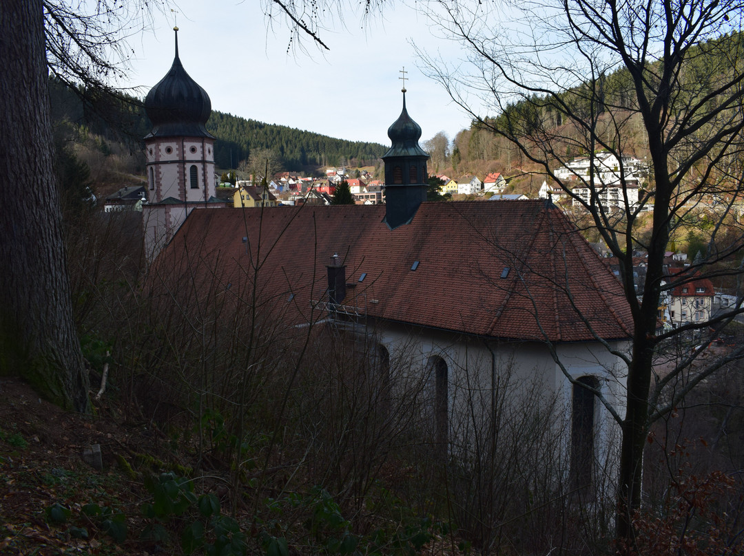 Wallfahrtskirche Maria in der Tanne景点图片