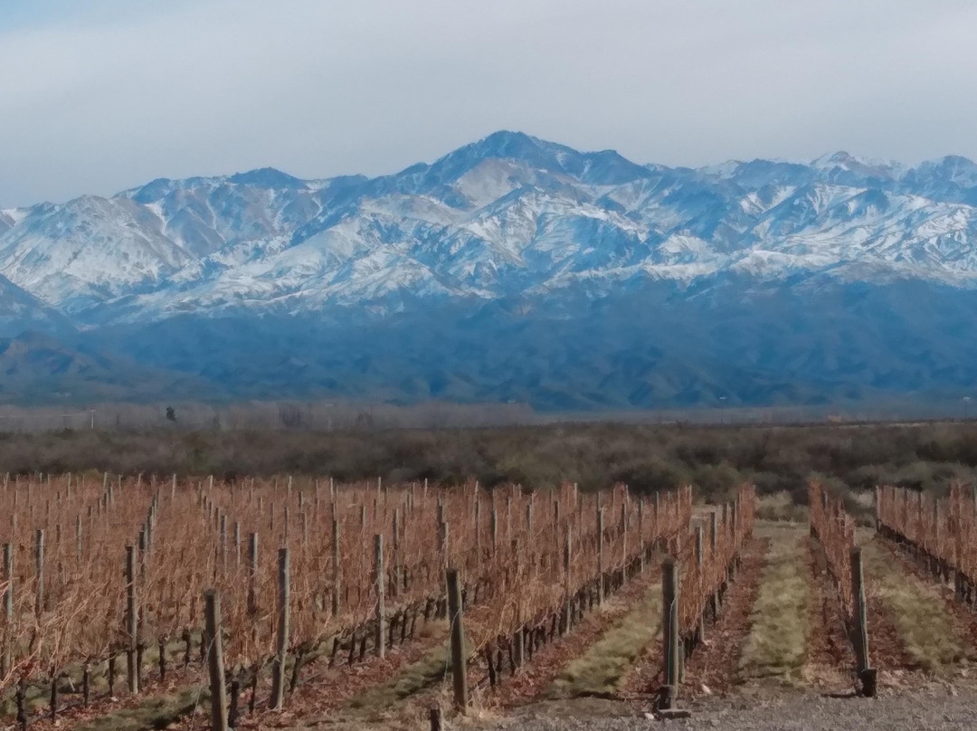 Mendoza Wine trip景点图片