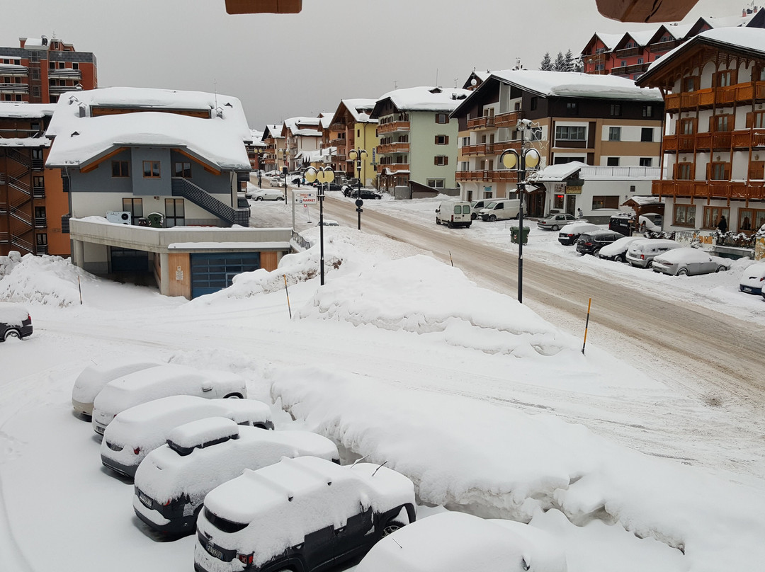 Hotel Gardenia主图