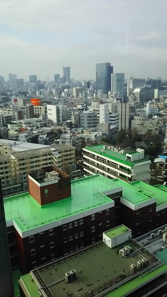 Nippon Seinenkan Hotel-酒店景观