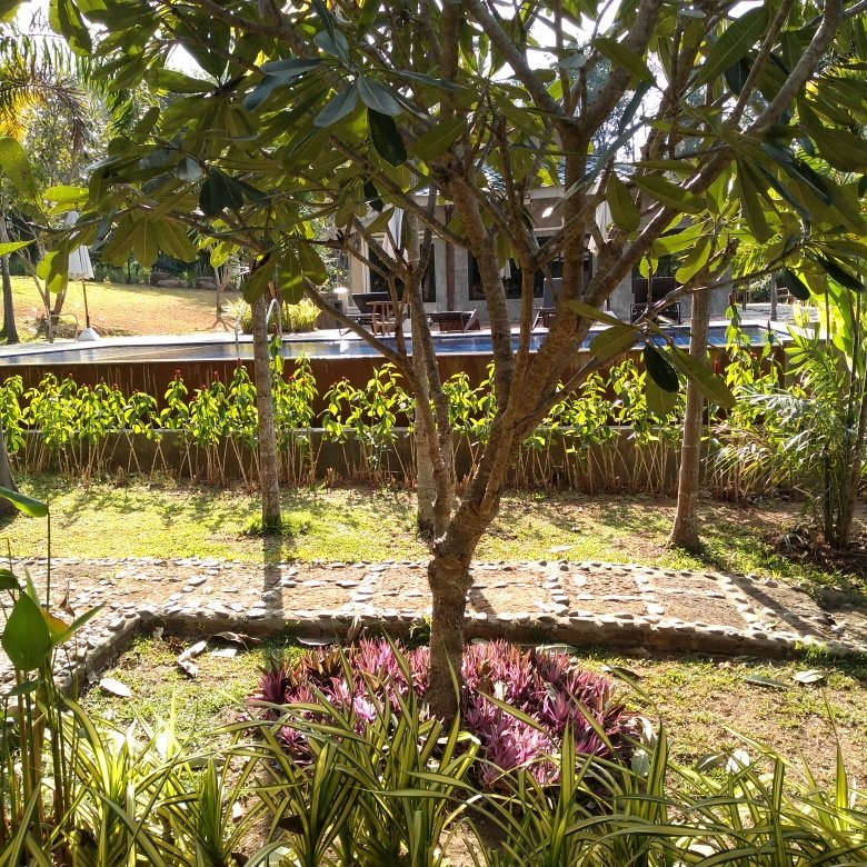 Capital O 1045 The Chater At Kaengkud主图