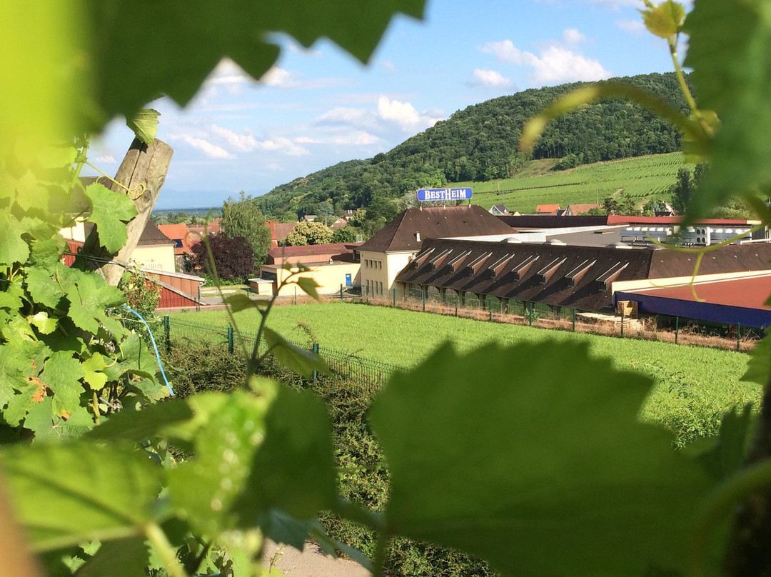 Bestheim-Westhalten必去景点