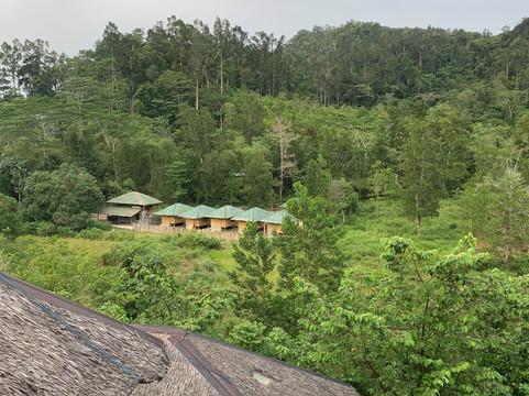 Back Trippers Inn主图