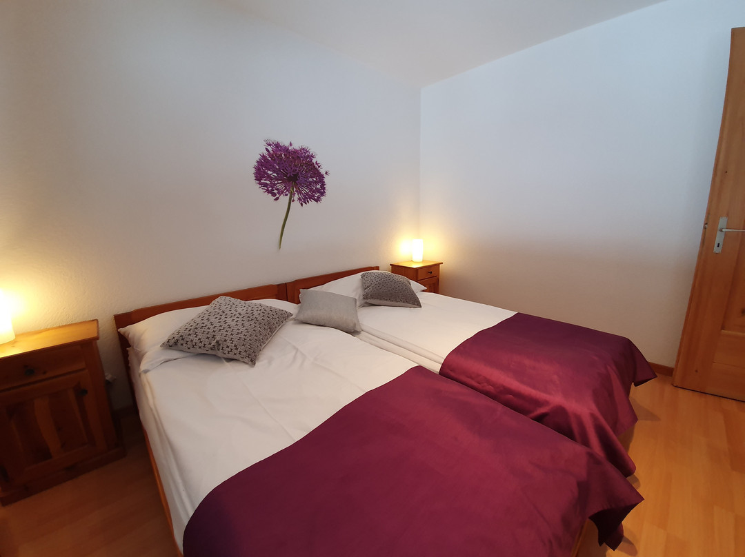 Haus Bergdohle主图