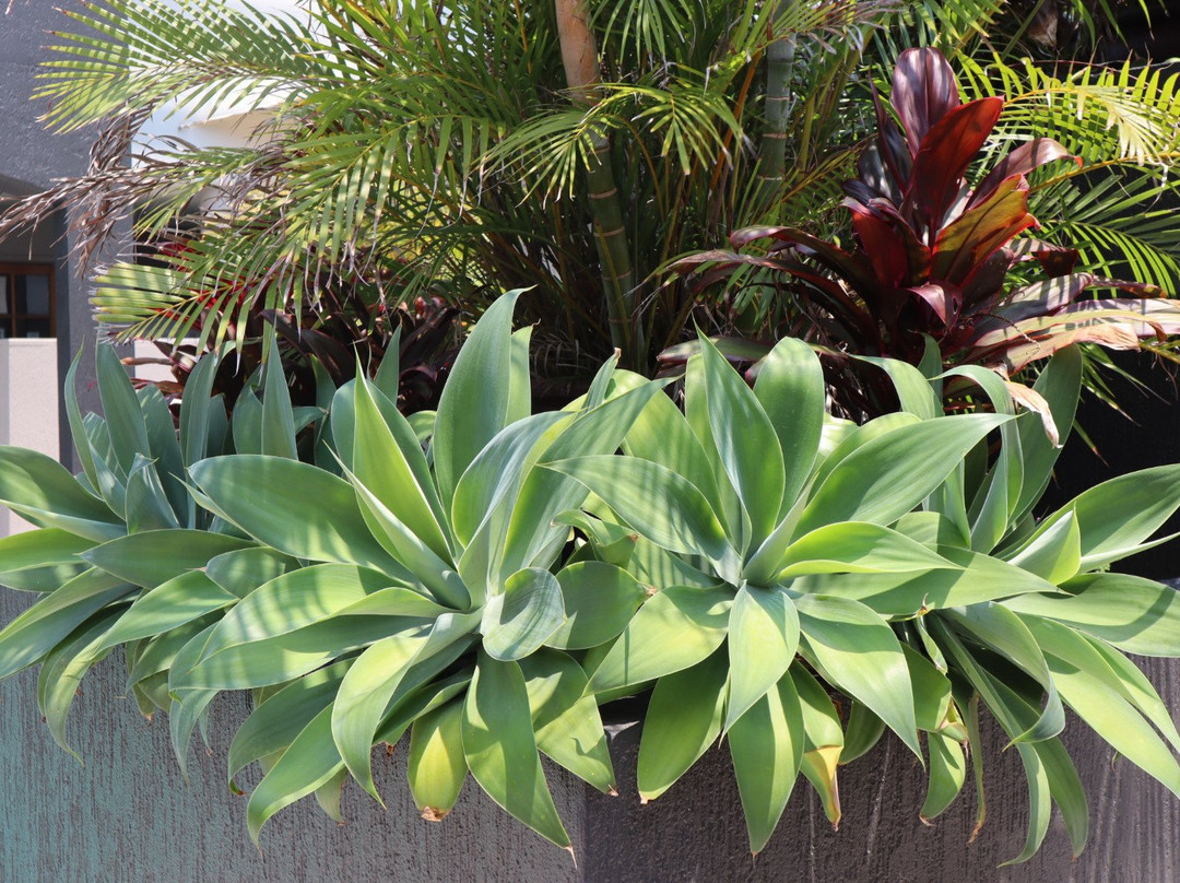 库拉姆海滩度假主图