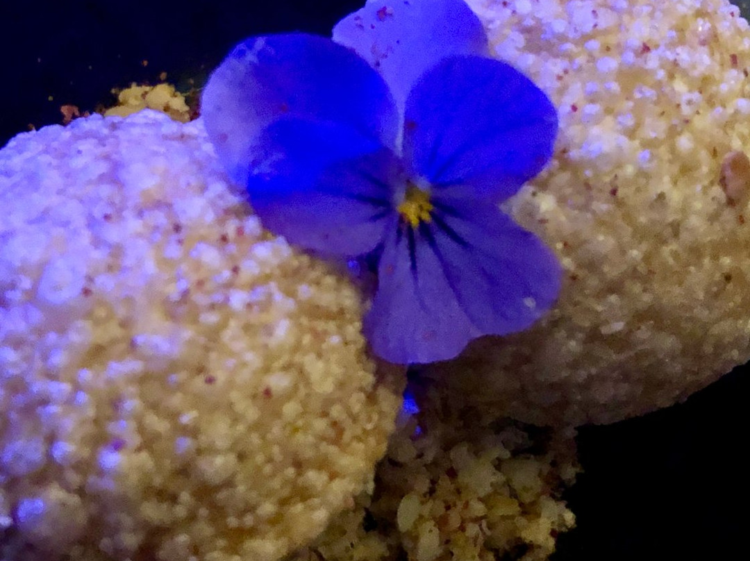 Blue LLama Jazz Club-安娜堡必去景点