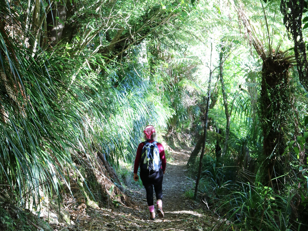 Walk Pelorus NZ景点图片