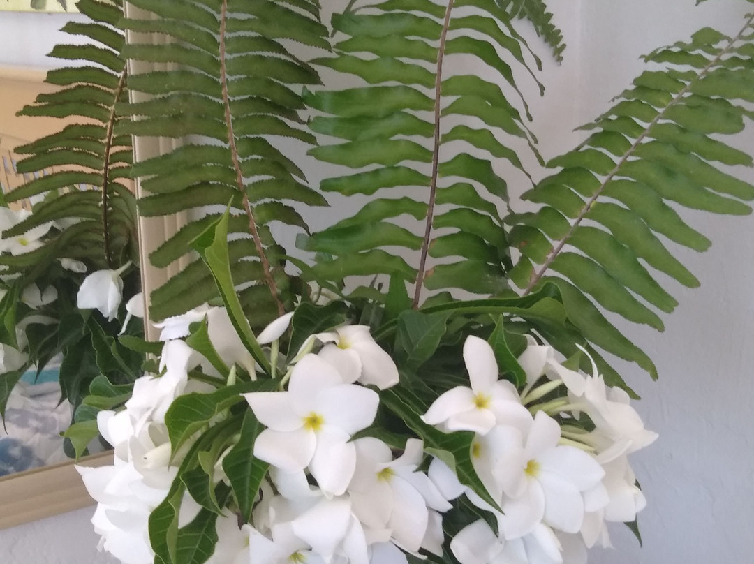 Pousada Sombra dos Coqueiros主图