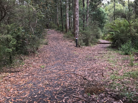 Nangara Reserve-Jindivick必去景点