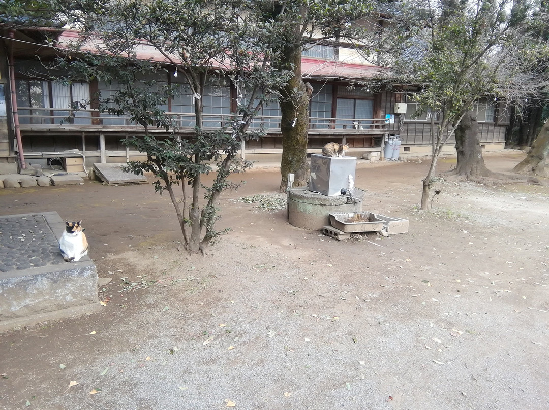 Suzume Shrine-古河市必去景点