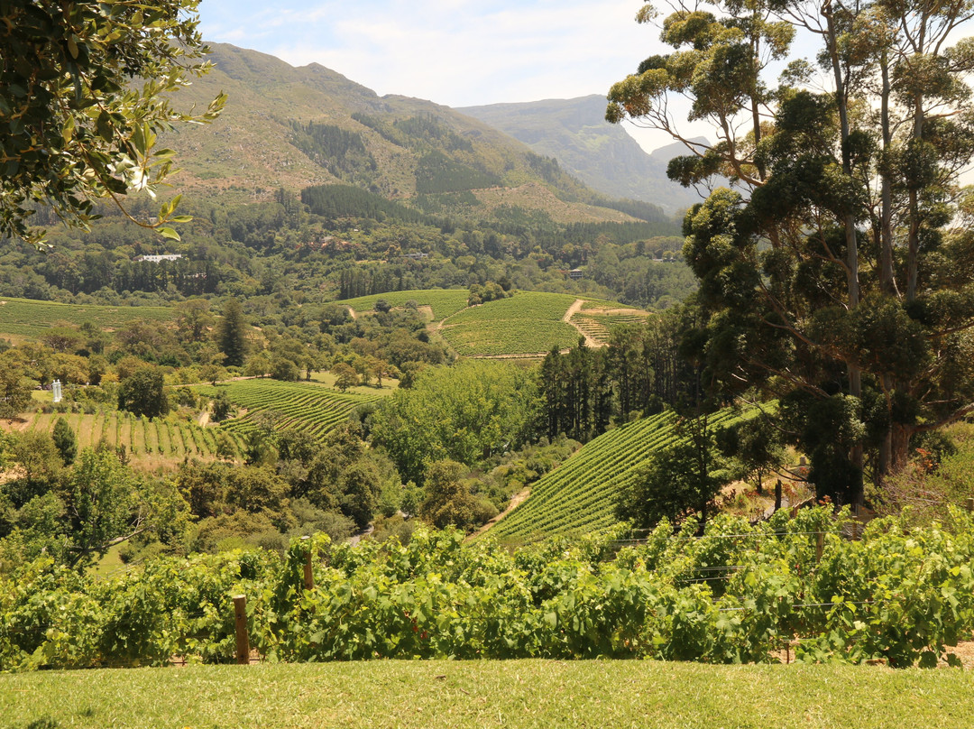 Eagles Nest Wine-康士坦提亚必去景点
