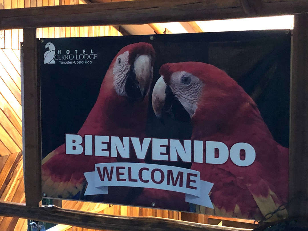 Hotel Cerro Lodge主图