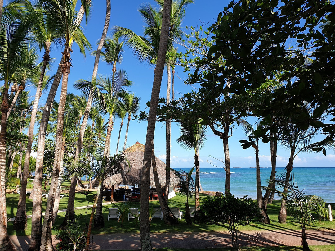 亚特兰蒂斯酒店主图