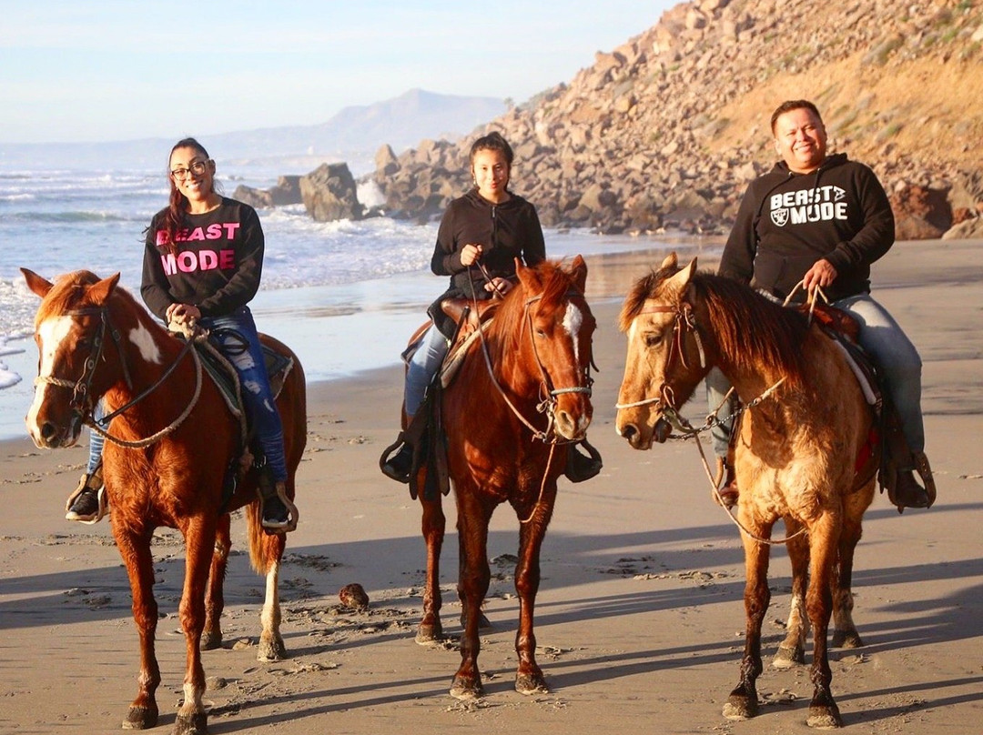 Horses by Jose-La Mision必去景点