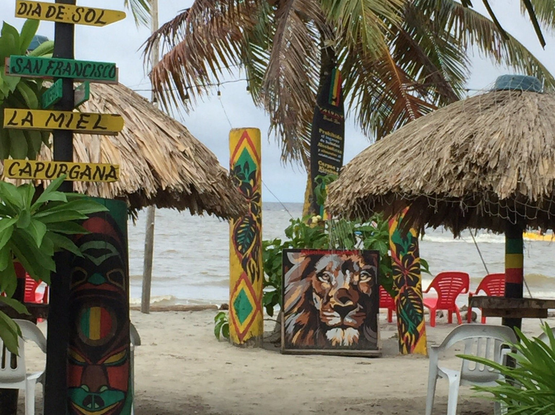 Zion beach bar-Necocli必去景点