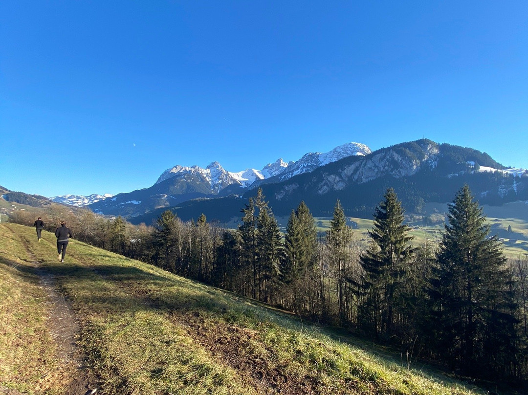 Le Vieux Chalet主图