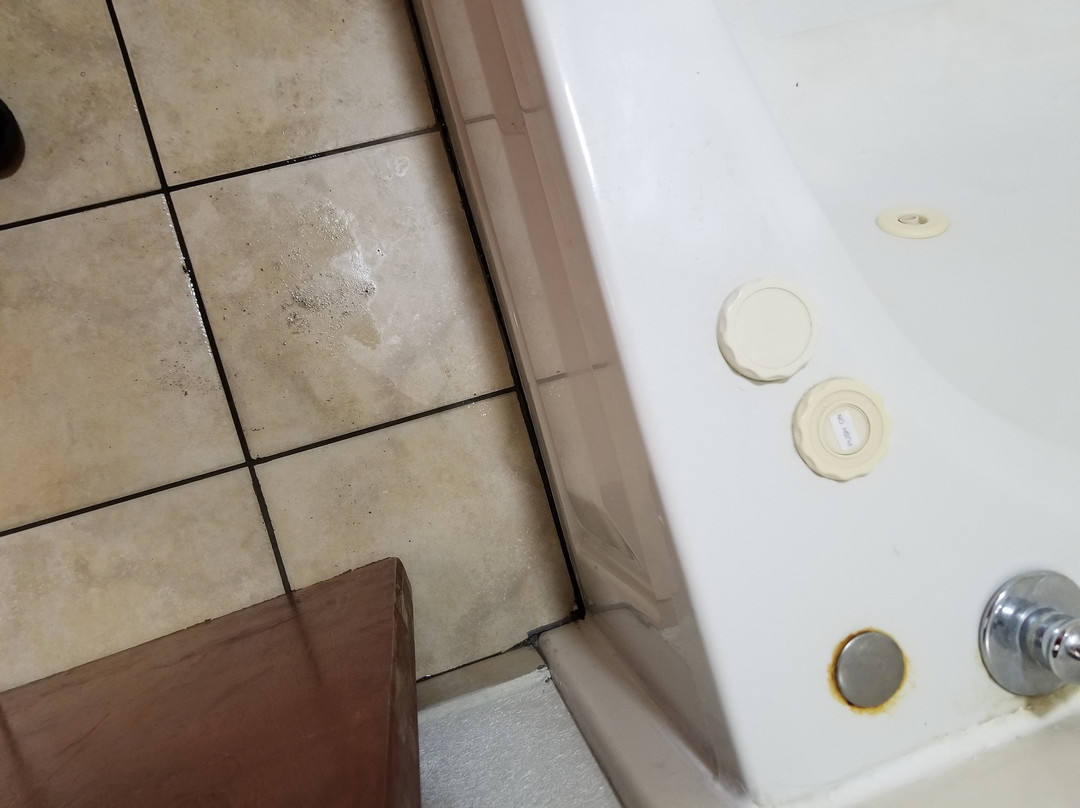 Baymont by Wyndham Orangeburg North主图