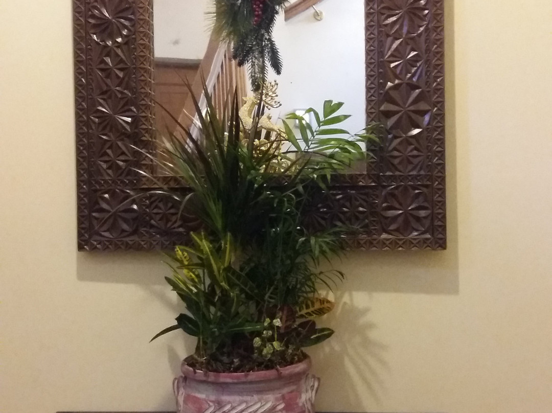 Thea Valtsenikou主图