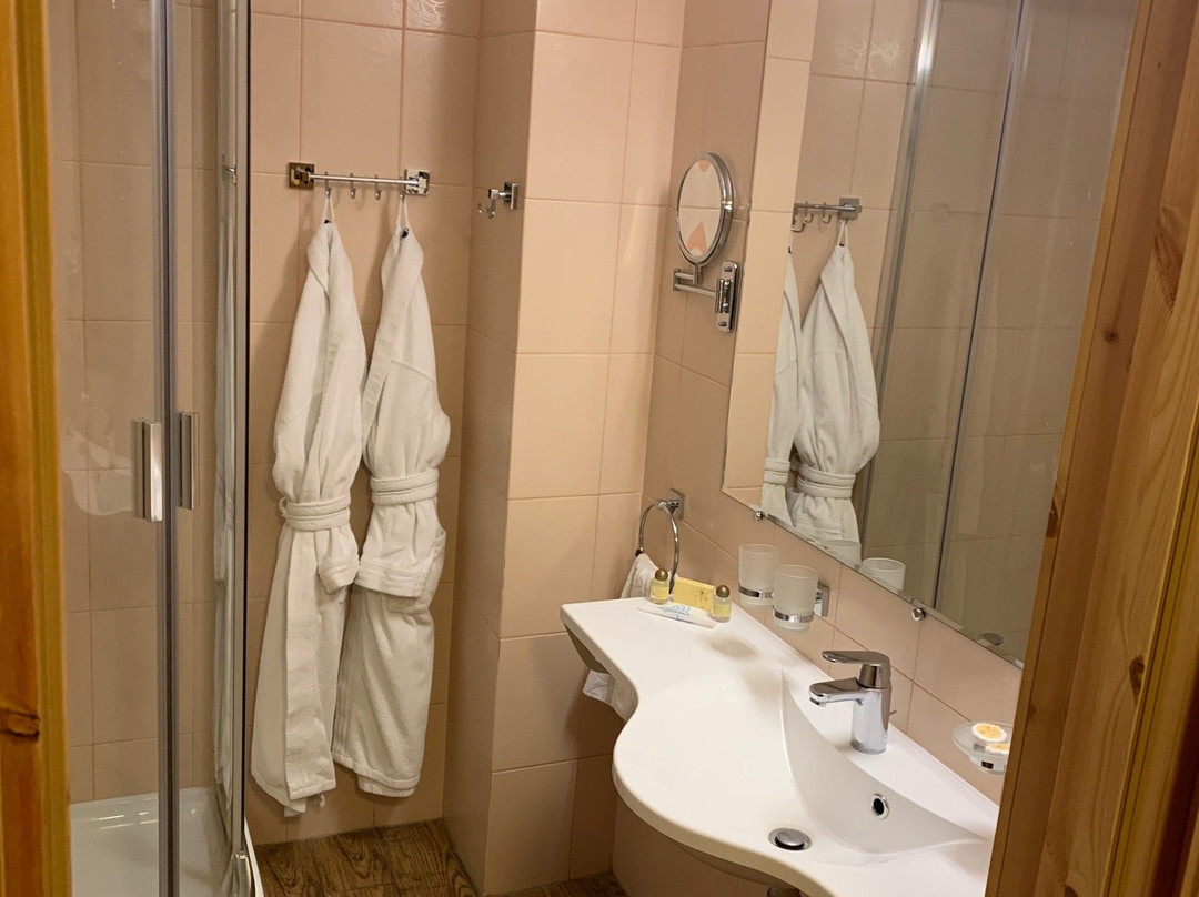 Karpatsky Zori Hotel主图