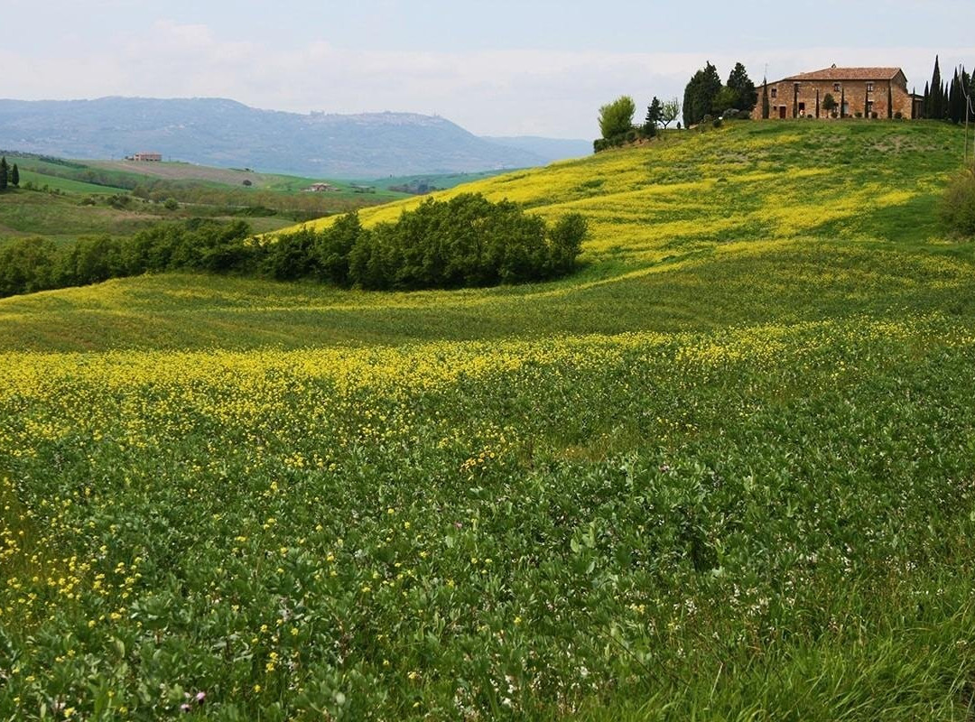 Jlenia Holiday Tuscany NCC transfer & service-里窝那必去景点