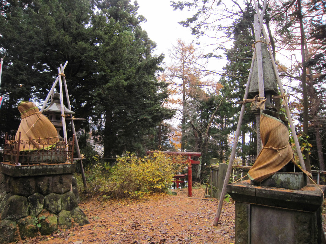 Katayama Inari Shrine景点图片