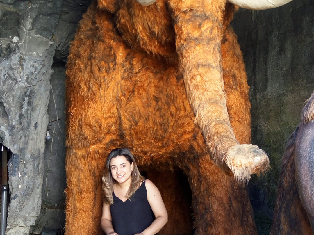 Morro do Elefante-坎普斯－杜若尔当必去景点