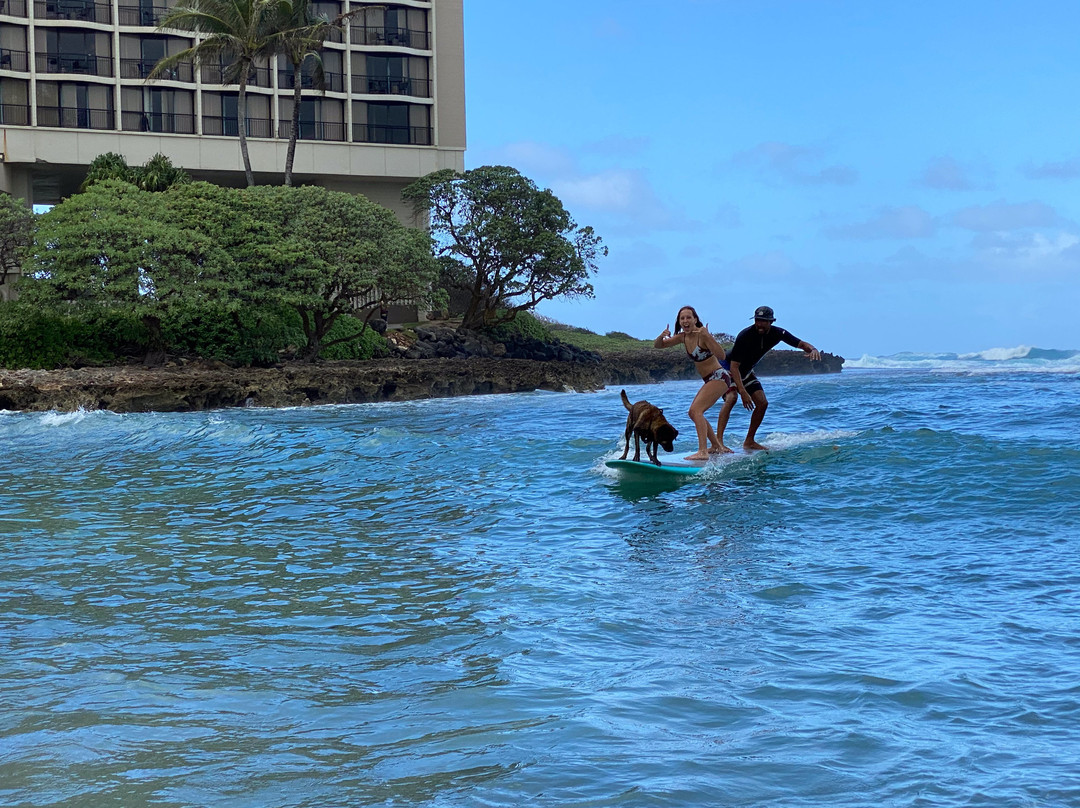 Hawaii Surf Dogs景点图片