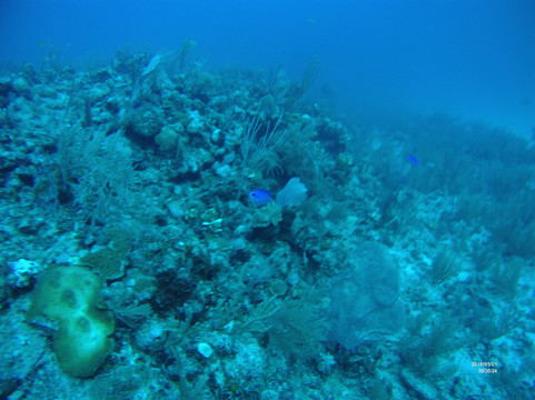 Takata Experience-Mahahual必去景点