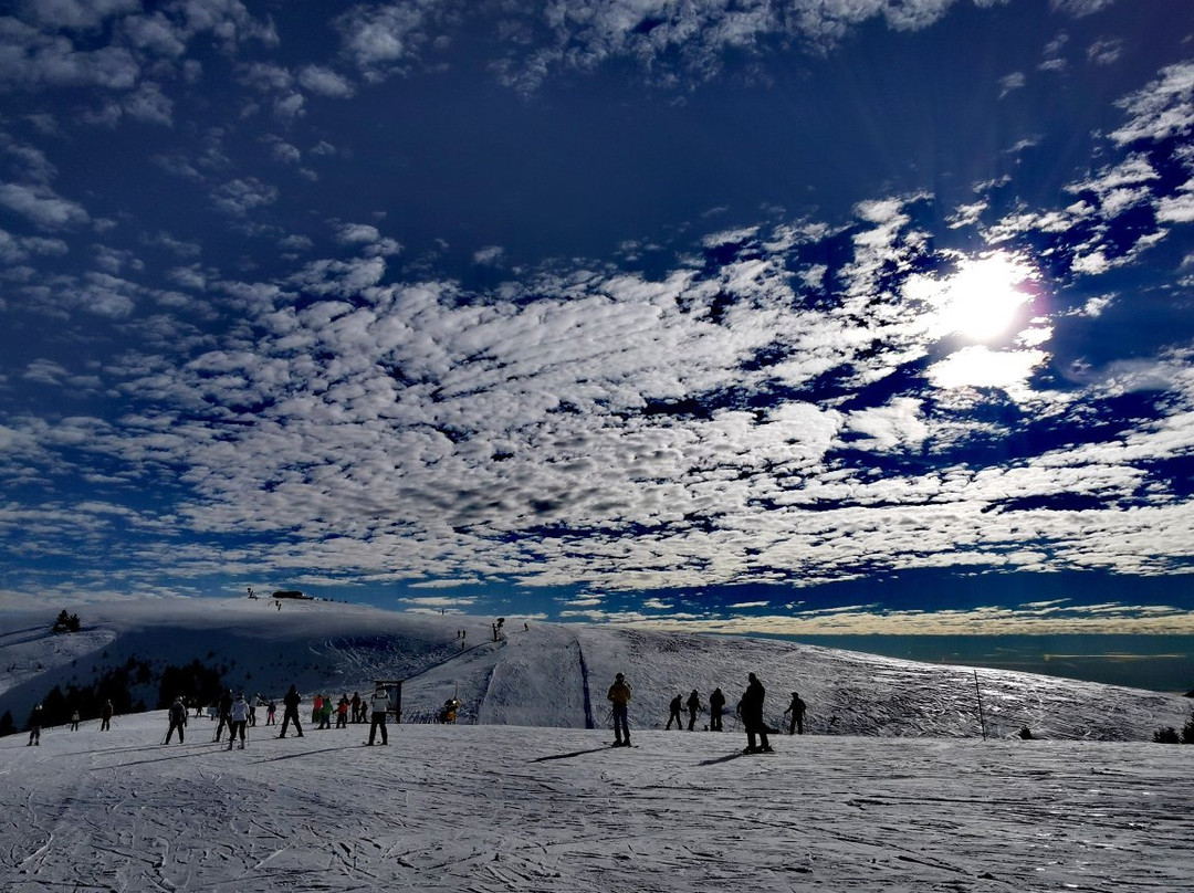 Skiarea Folgaria Fiorentini景点图片