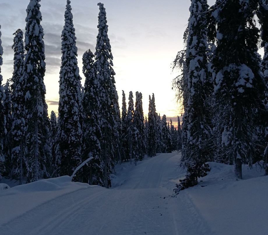 Syöte Ski & Nature Resort景点图片