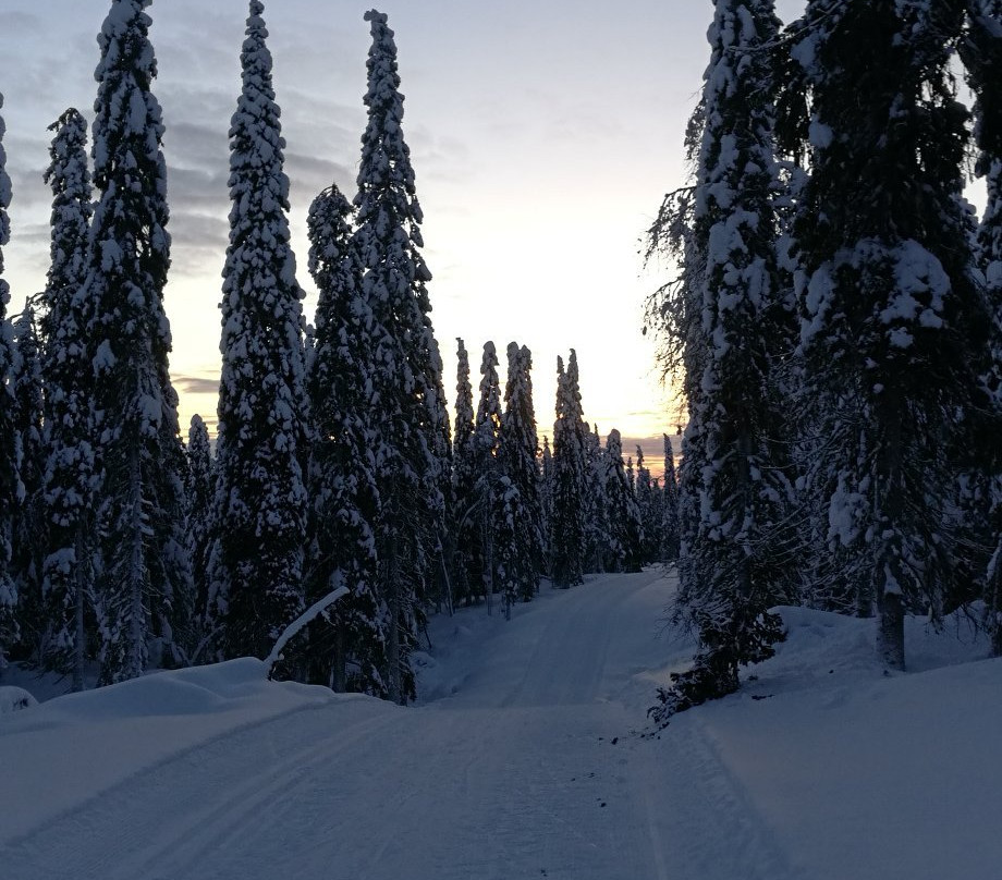 Syöte Ski & Nature Resort-Syote必去景点