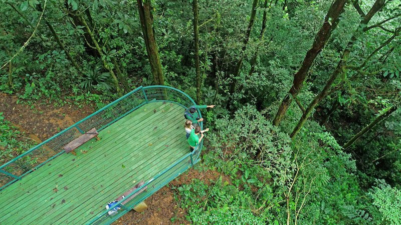 Tapir Valley Nature Reserve景点图片