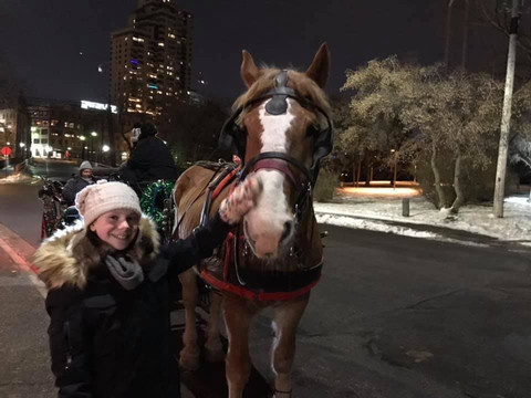 The Hitching Company-明尼阿波利斯必去景点