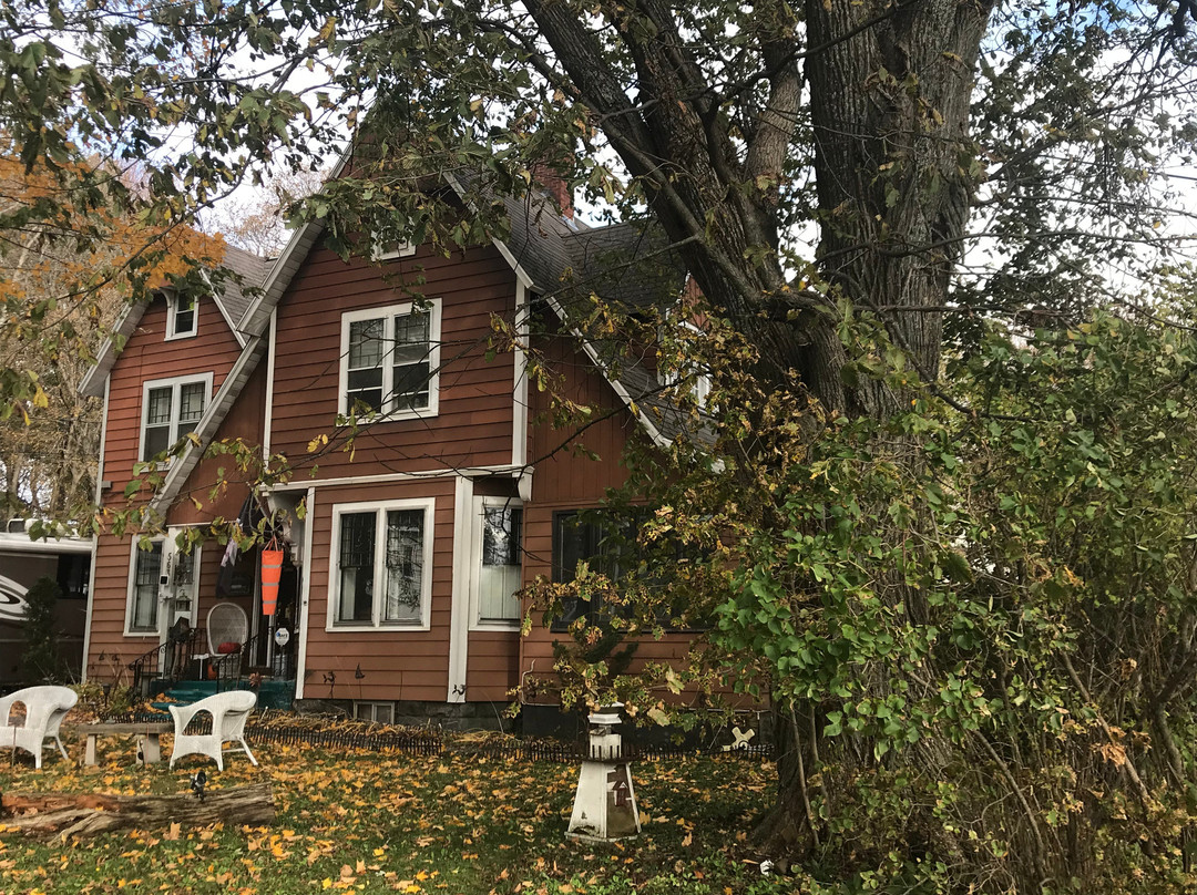 Wentworth Park-悉尼必去景点