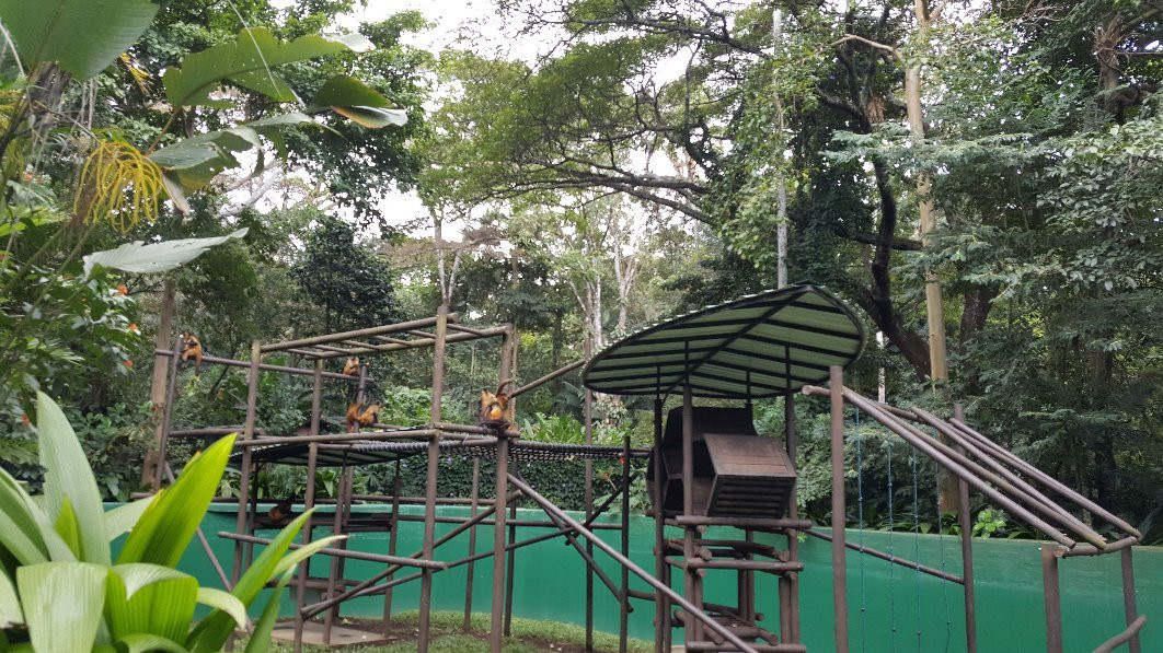 Simón Bolívar National Zoo and Botanical Garden景点图片